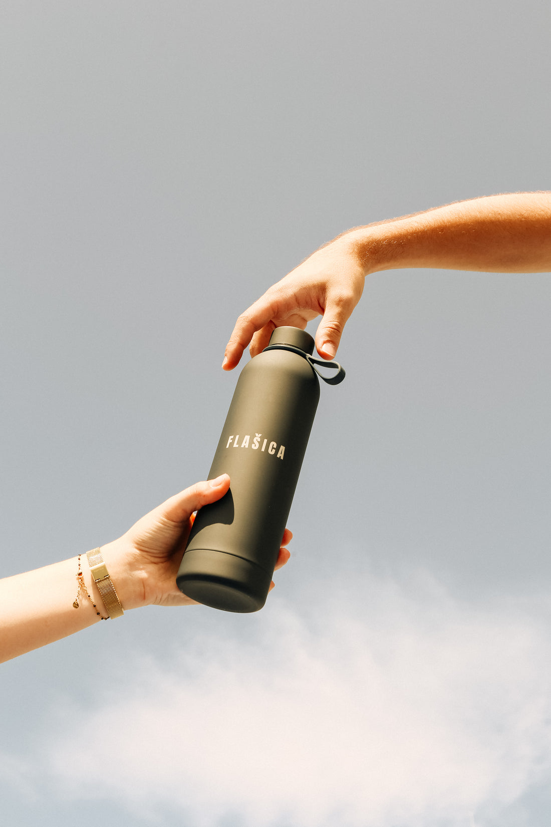 Divlja Borovnica 0.75L